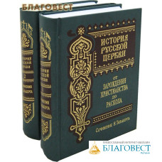 История Русской Церкви. От зарождения христианства до раскола. От Святейшего Синода до восстановления Патриаршества в 2-х томах. Н. Д. Тальберг